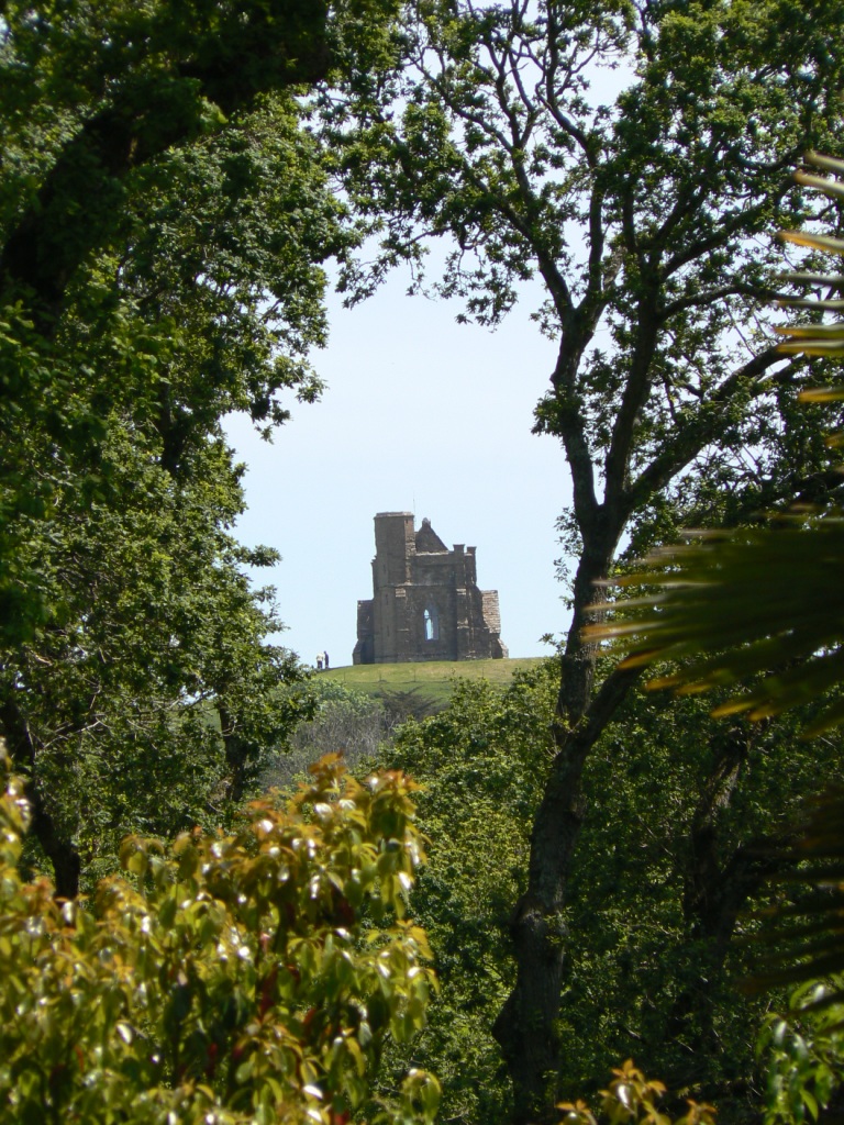 St Catherine's Chapel seen through the trees