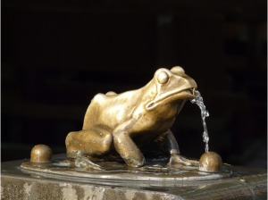 Frog in Torun