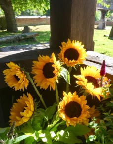 Sunflowers in the porch